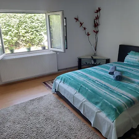 Villa Boba Bor Zlot